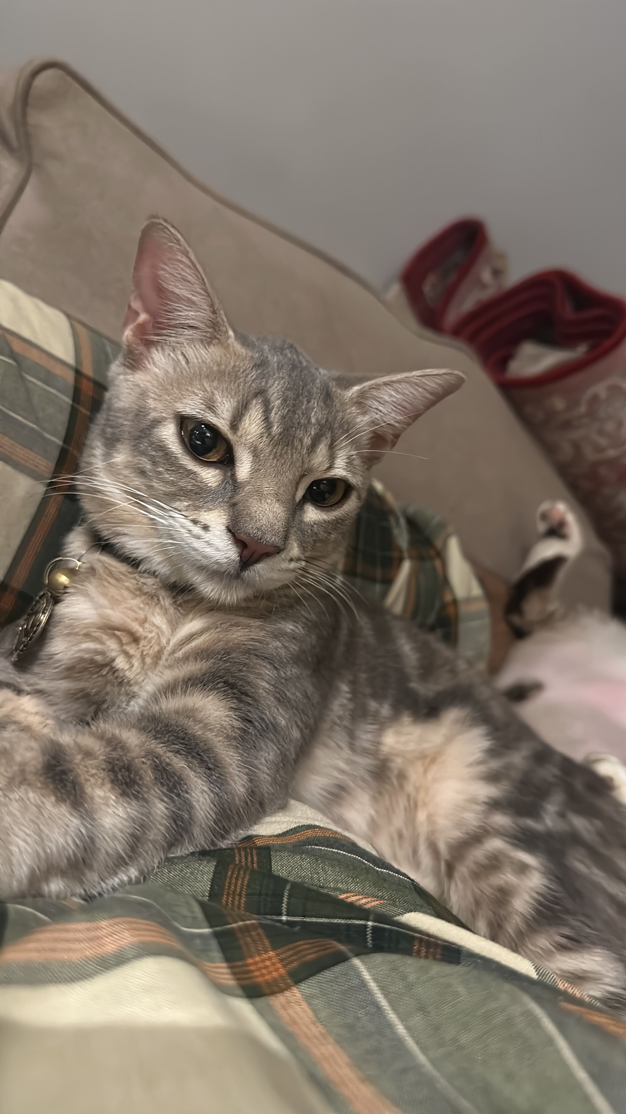 Marbly - 48000, Rawang