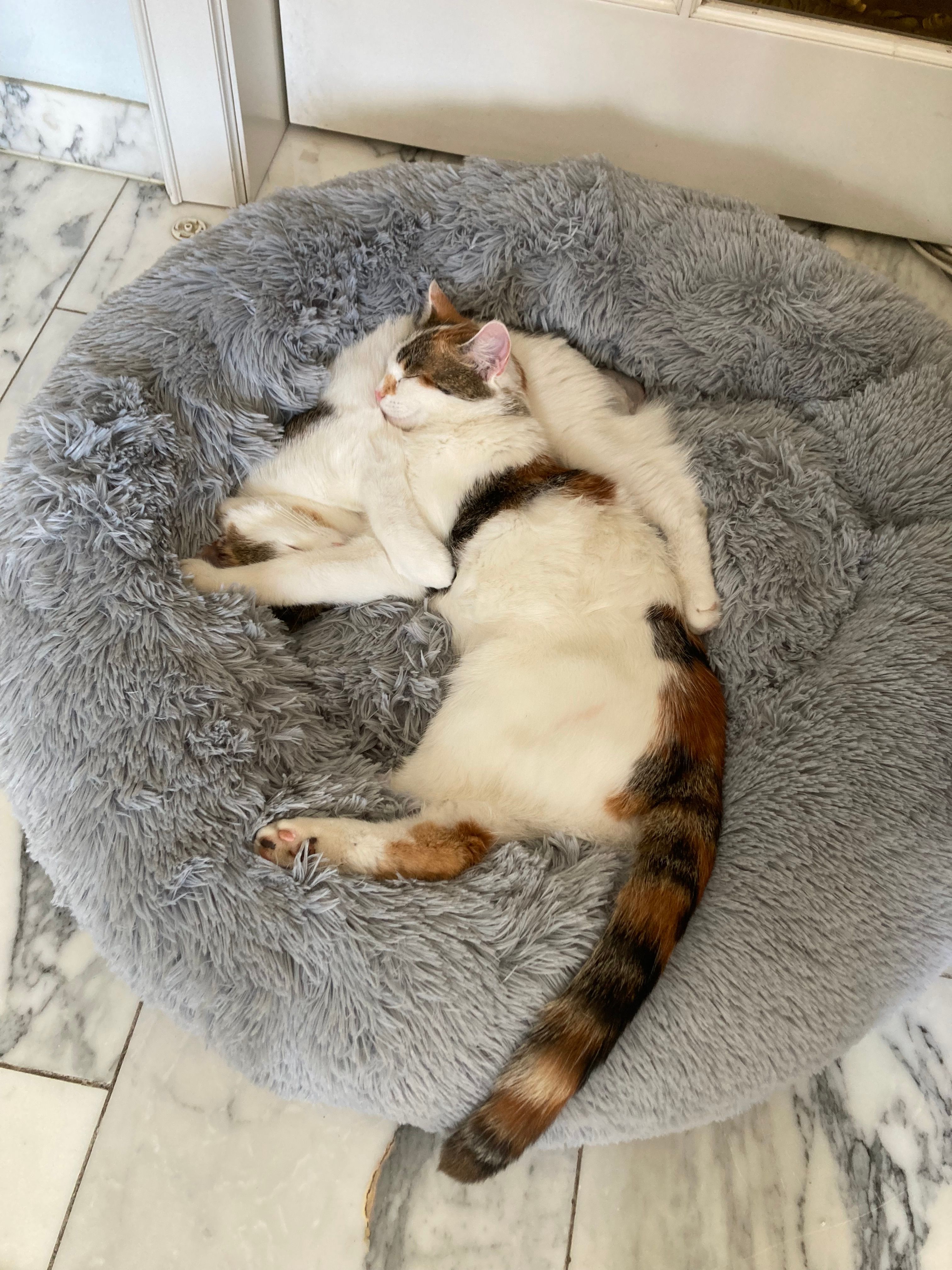 Nonosch - Florianstraße, Arnstorf