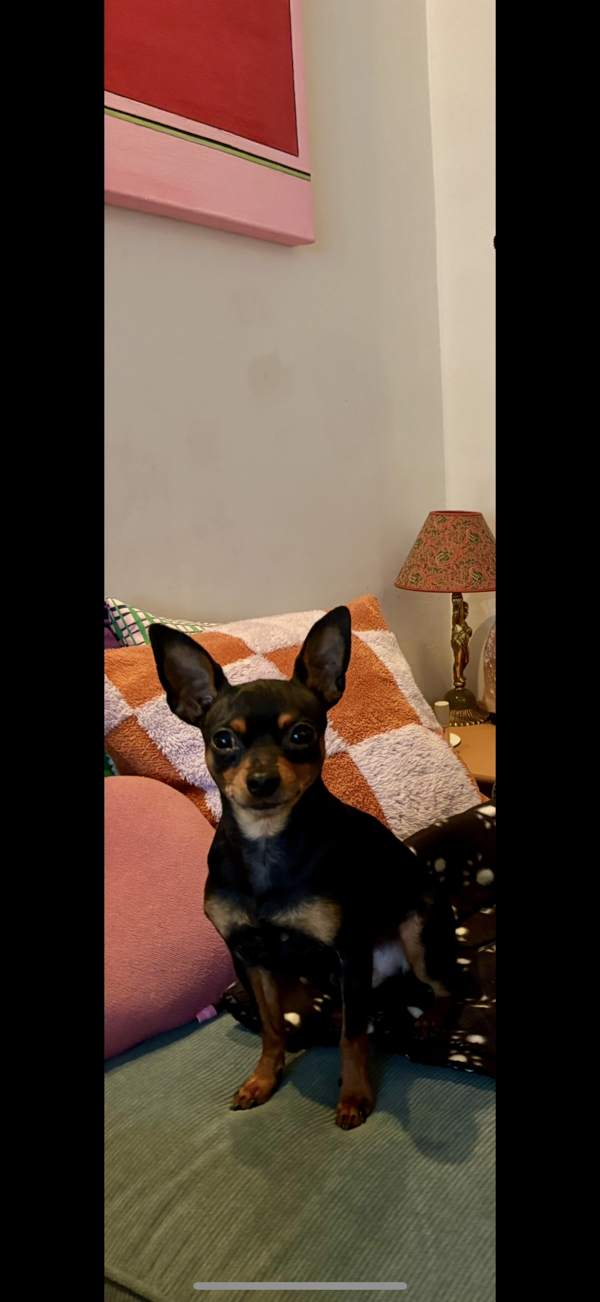 Tony - Stuifkenszand, Hoek van Holland