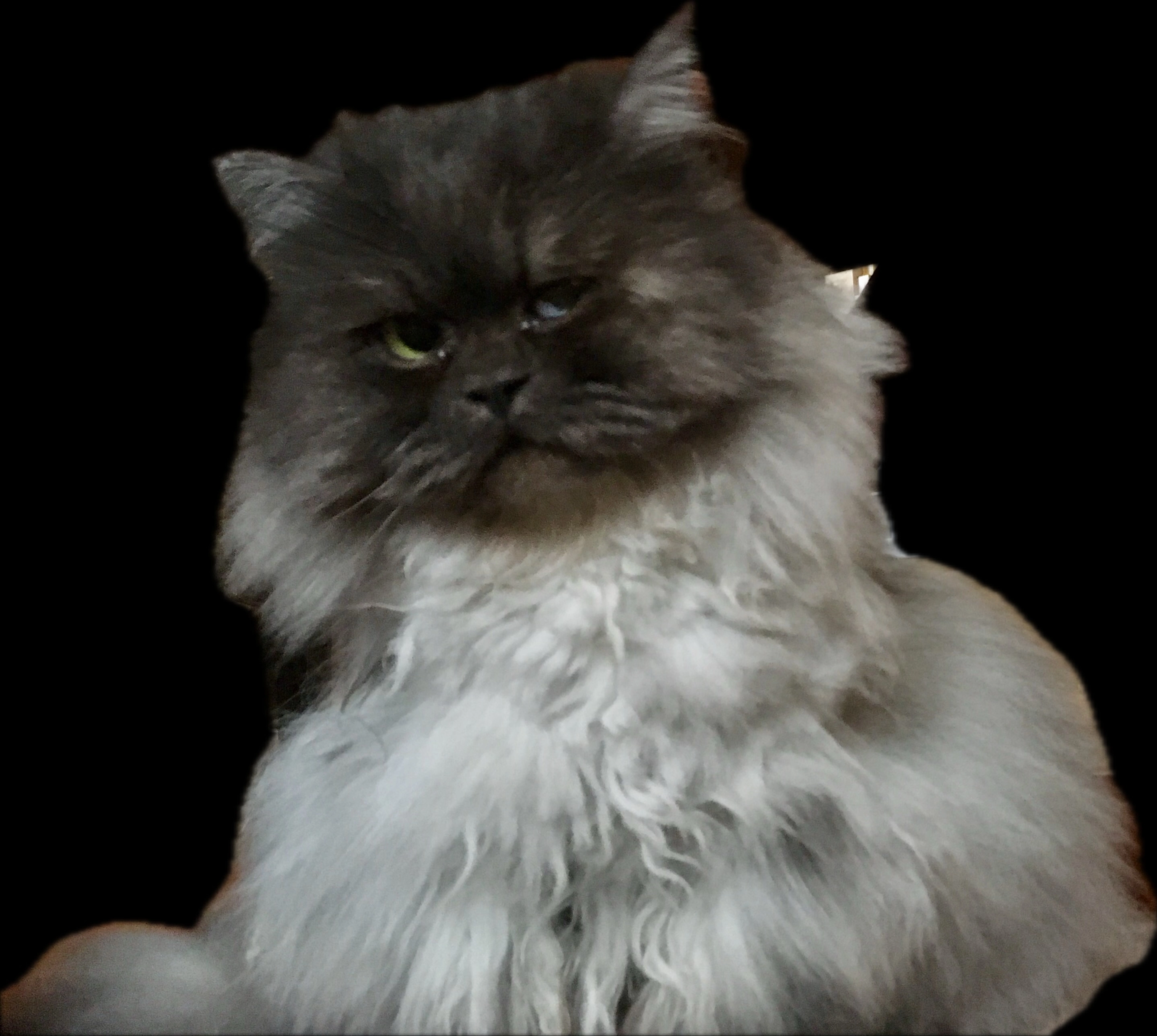 Jacky - Schulweg, Lindlar