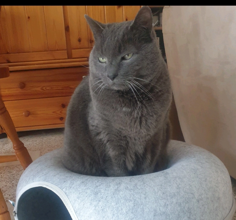 Enjoy  - Chemin D'en Coutéou, Roquelaure