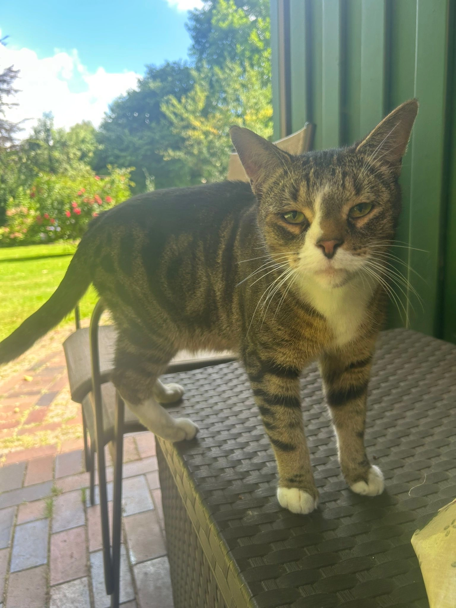 Urmel - Drögen-Hasen-Weg, Oldenburg