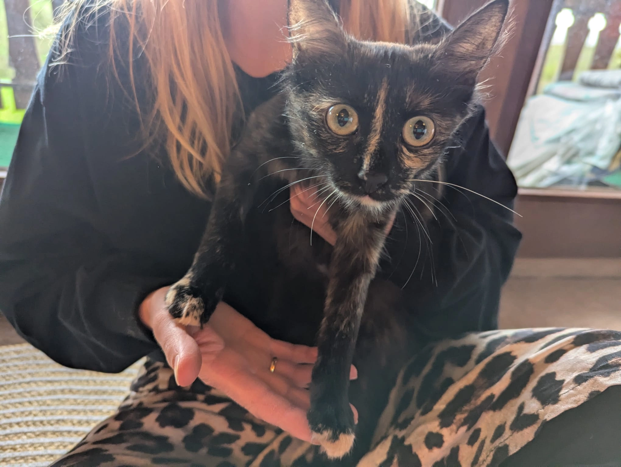 Fretty oder Tinky - Eisenbahnstraße 15, Senftenberg