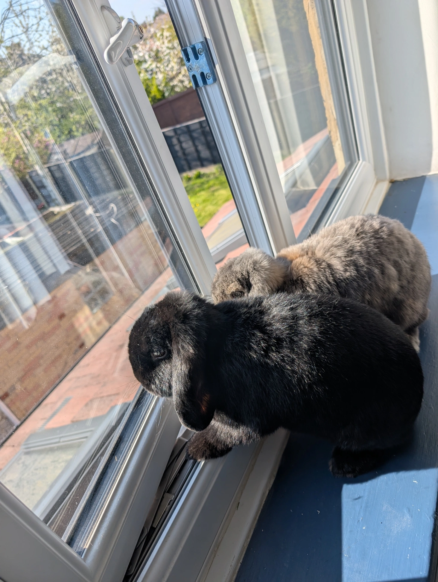 Cuthbert - Gorse Crescent, Manchester