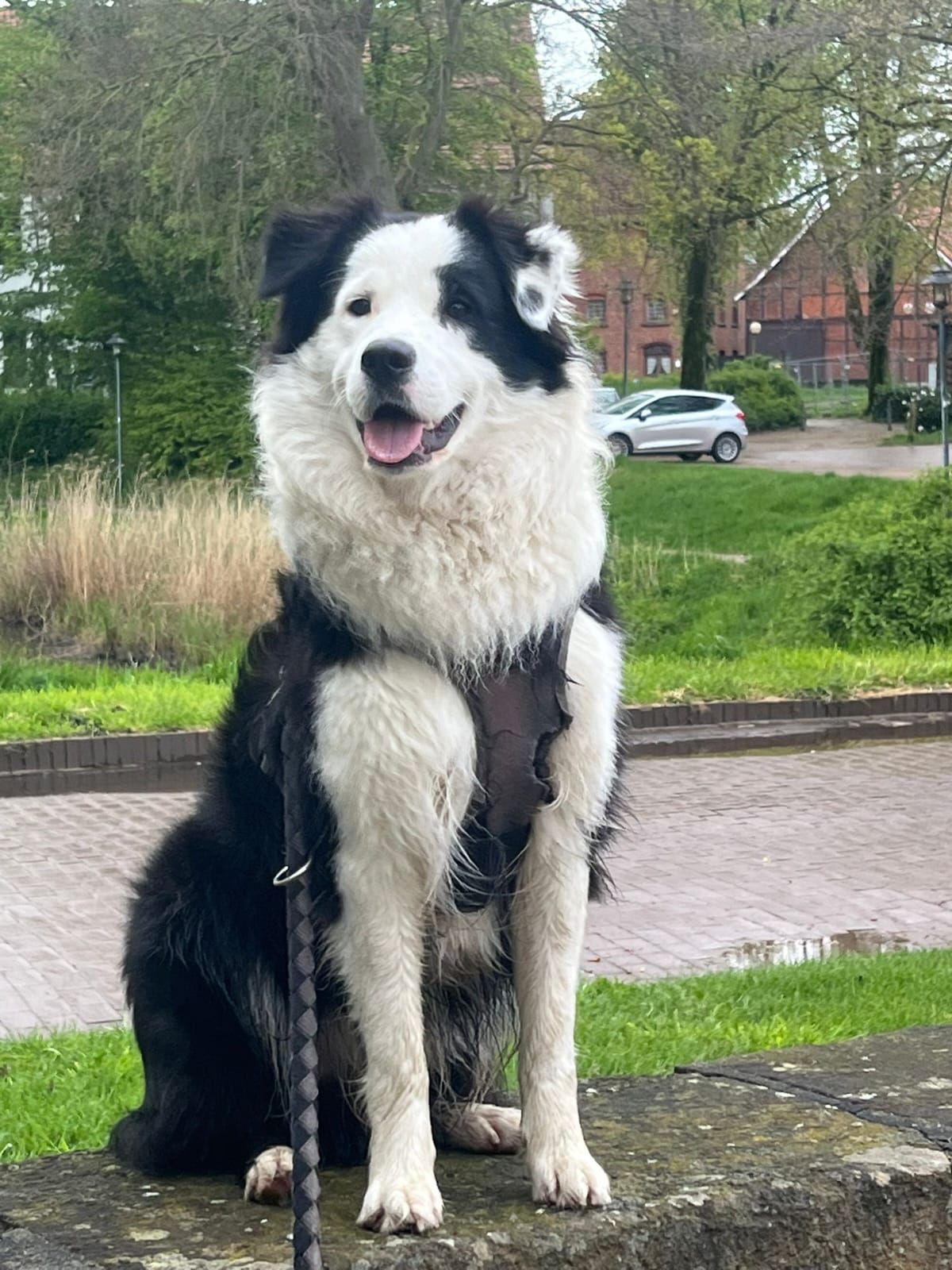Chapo - An Den Schanzen, Fürstenau