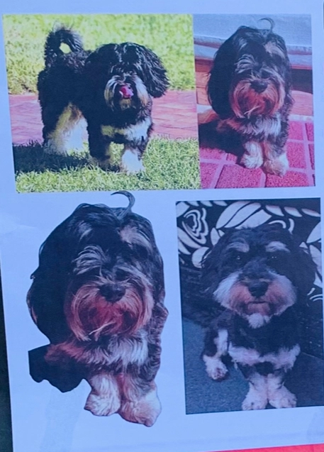 Chokko  - Pharmacie, Dyour Marjane 