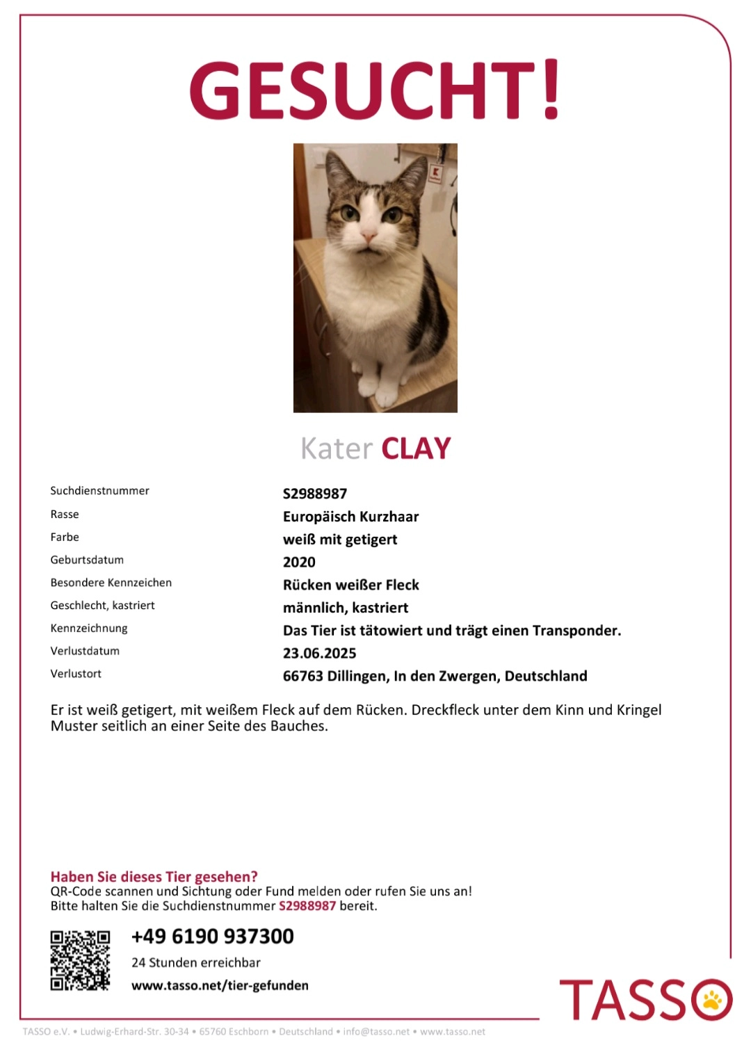 Clay - In den Zwergen, Dillingen/Saar