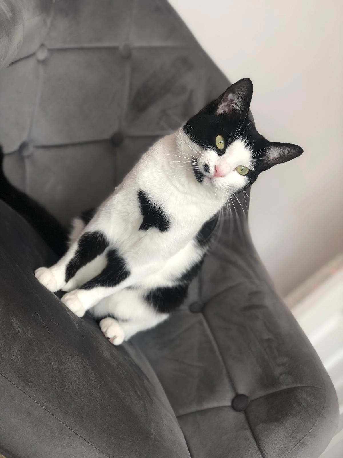 Raya - WS12 3, Cannock