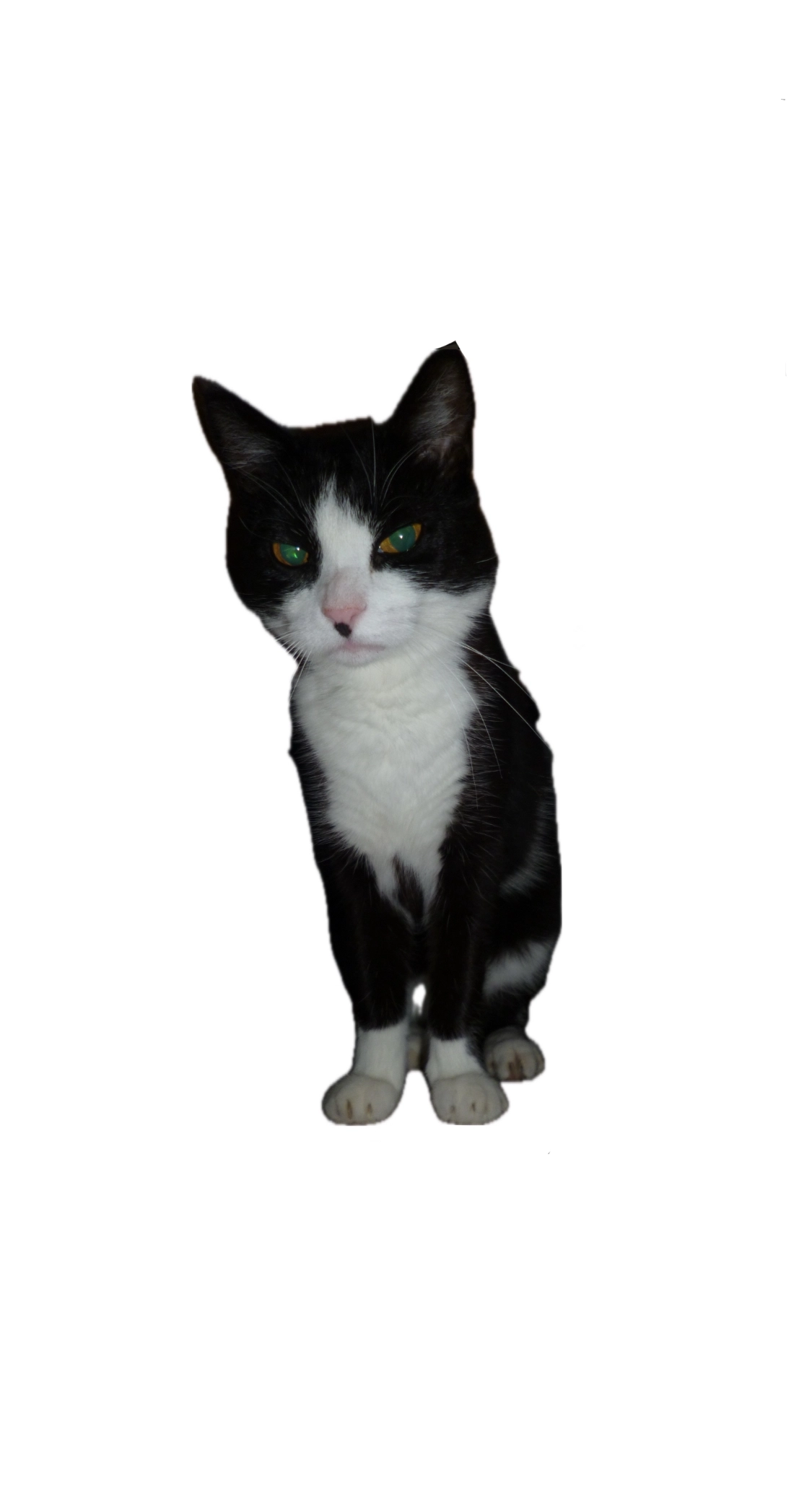 Mautz - Gundackersdorf, Markt Indersdorf