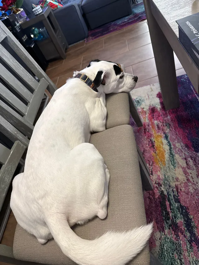 Max - 525 NE 21st Ct, Fort Lauderdale