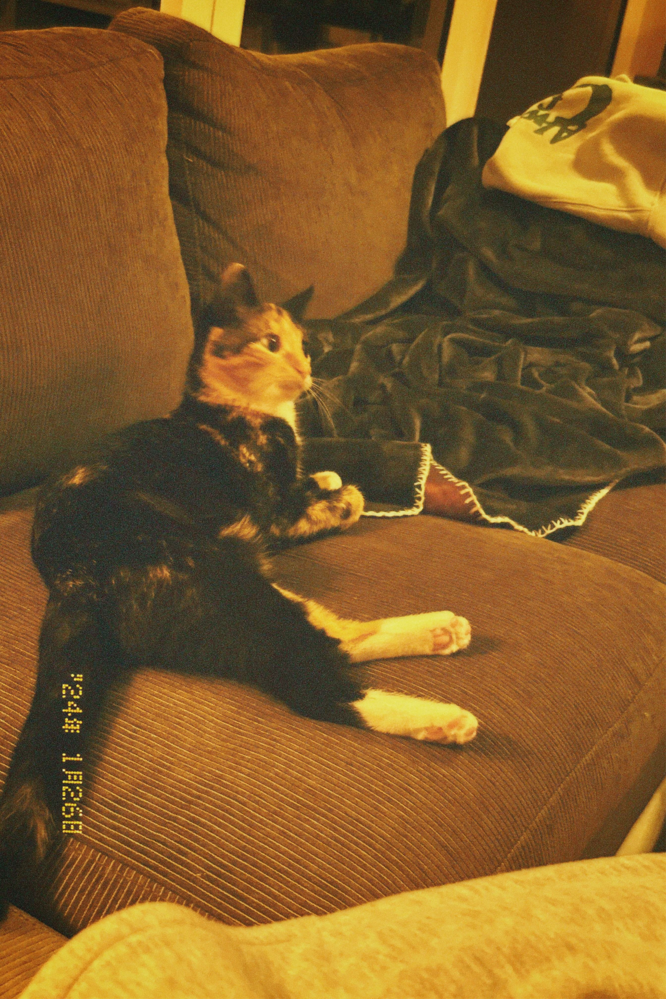 Yuki - Route De Gilsdorf, Diekirch