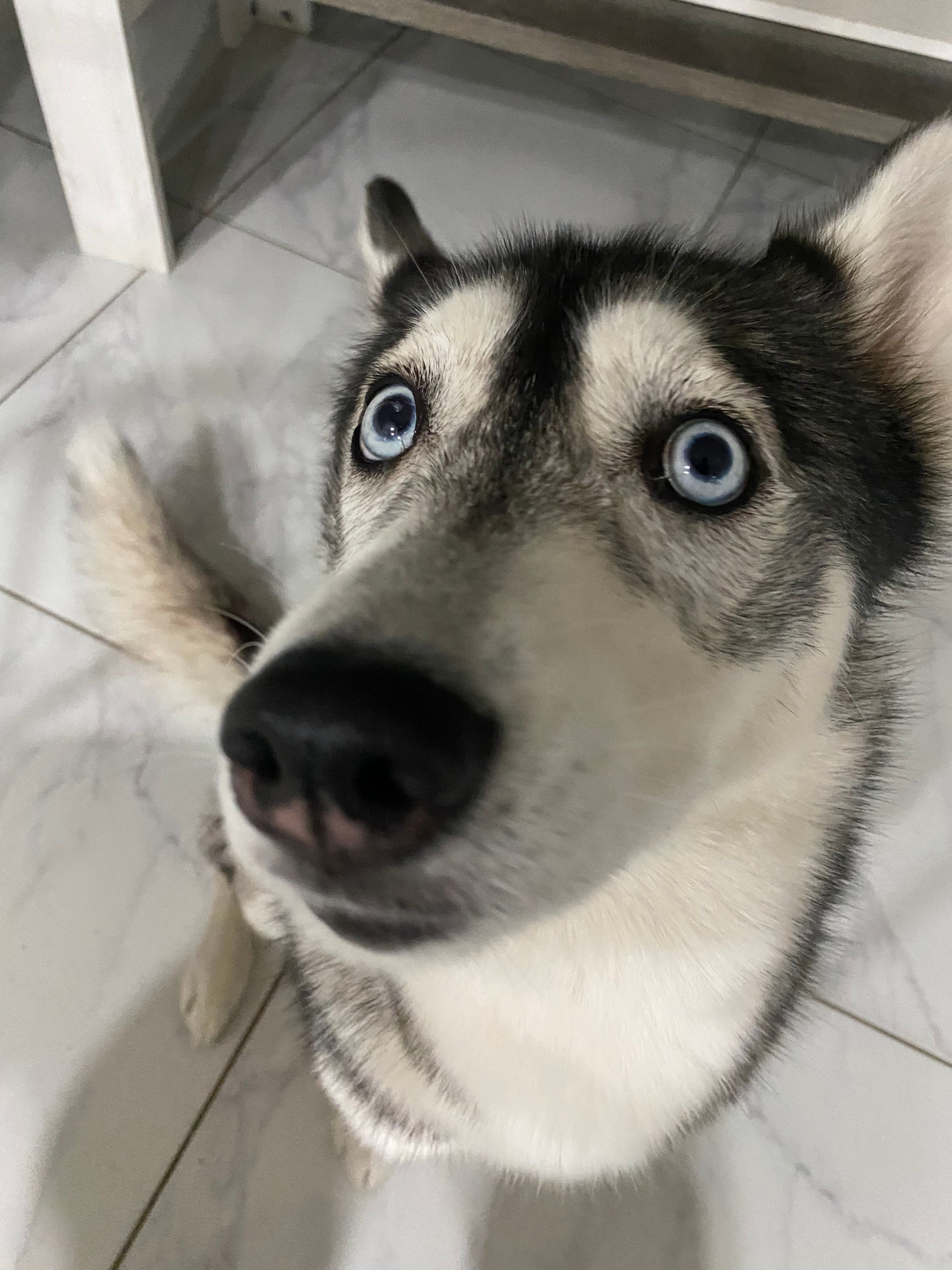 Sky - Rue Des Petits Champs, Moulins