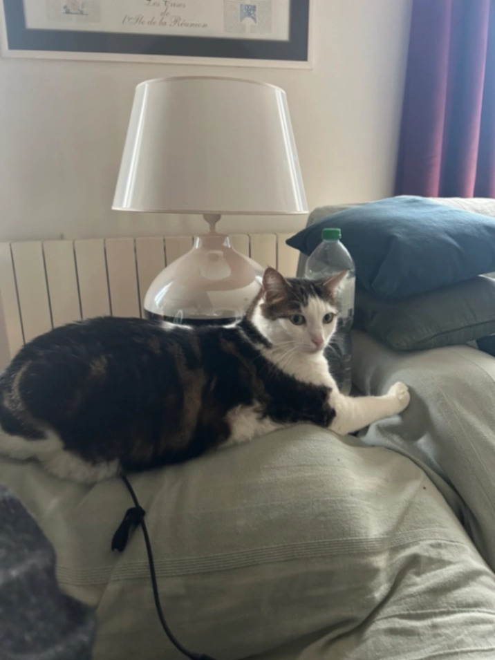 Suky - Chemin des Bezones, Montlhéry