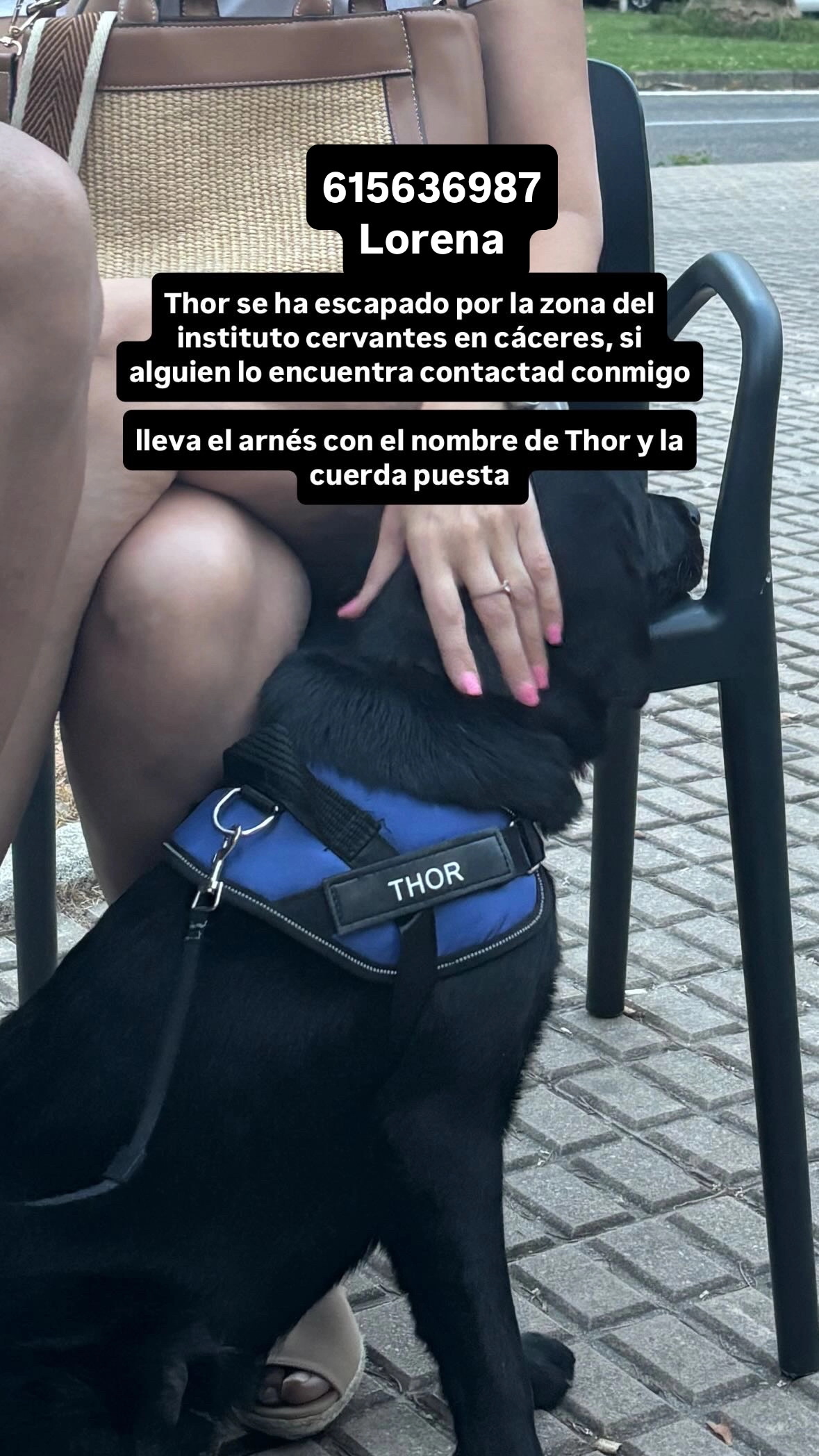 thor  - Avenida de Cervantes 4, Cáceres