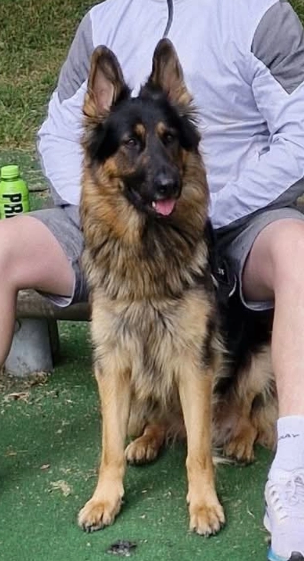 Sky - Waterloo Road, Manchester