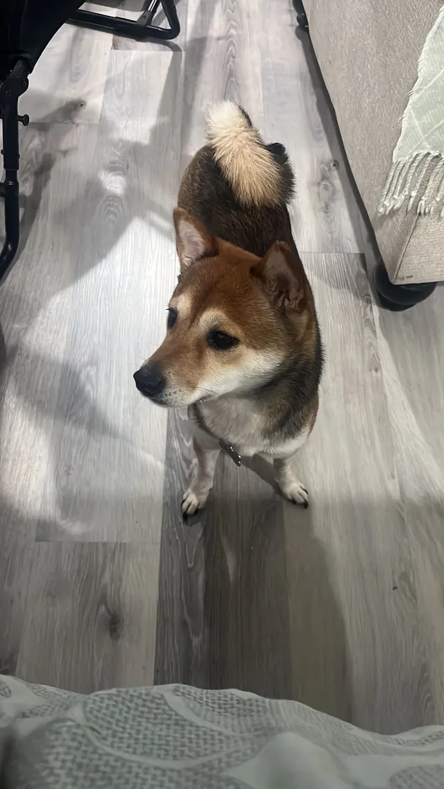 Arya - Ocean Blvd N, Long Branch