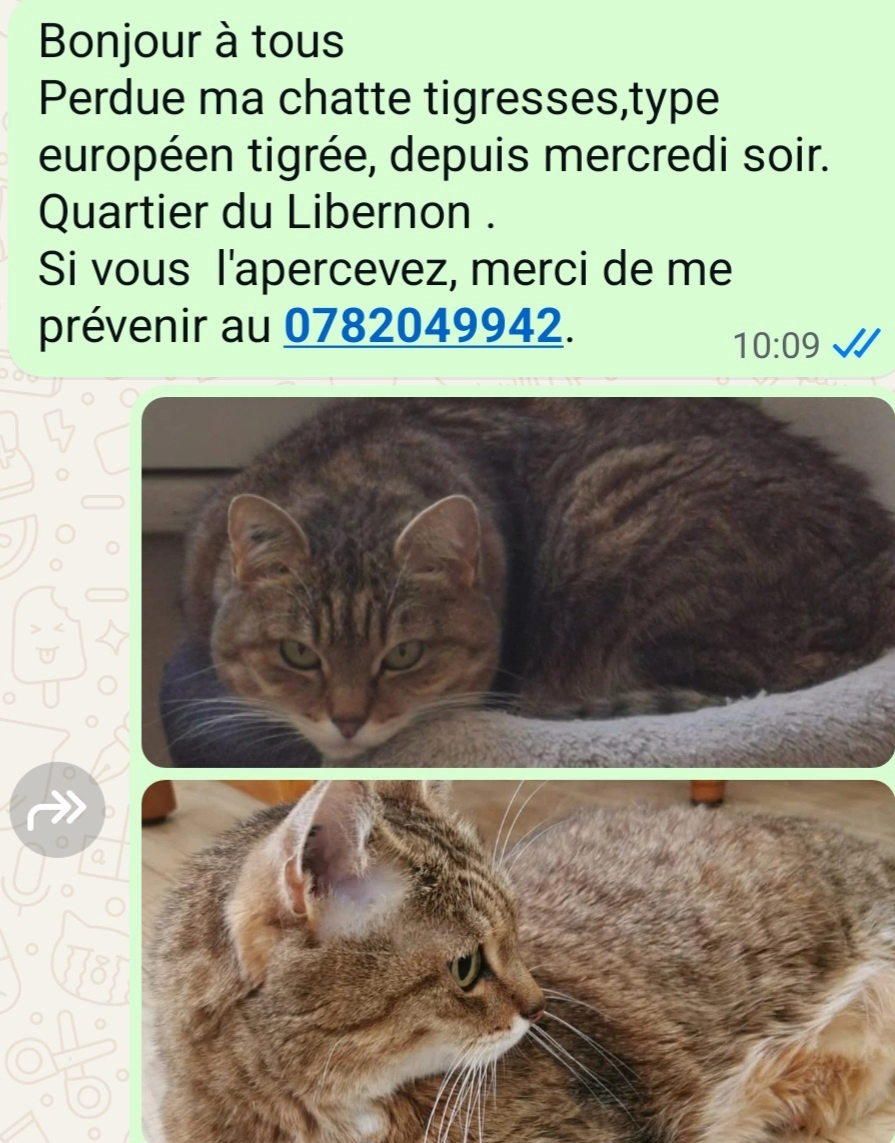 Tigresse - Rue De Libernon, Crécy-la-Chapelle