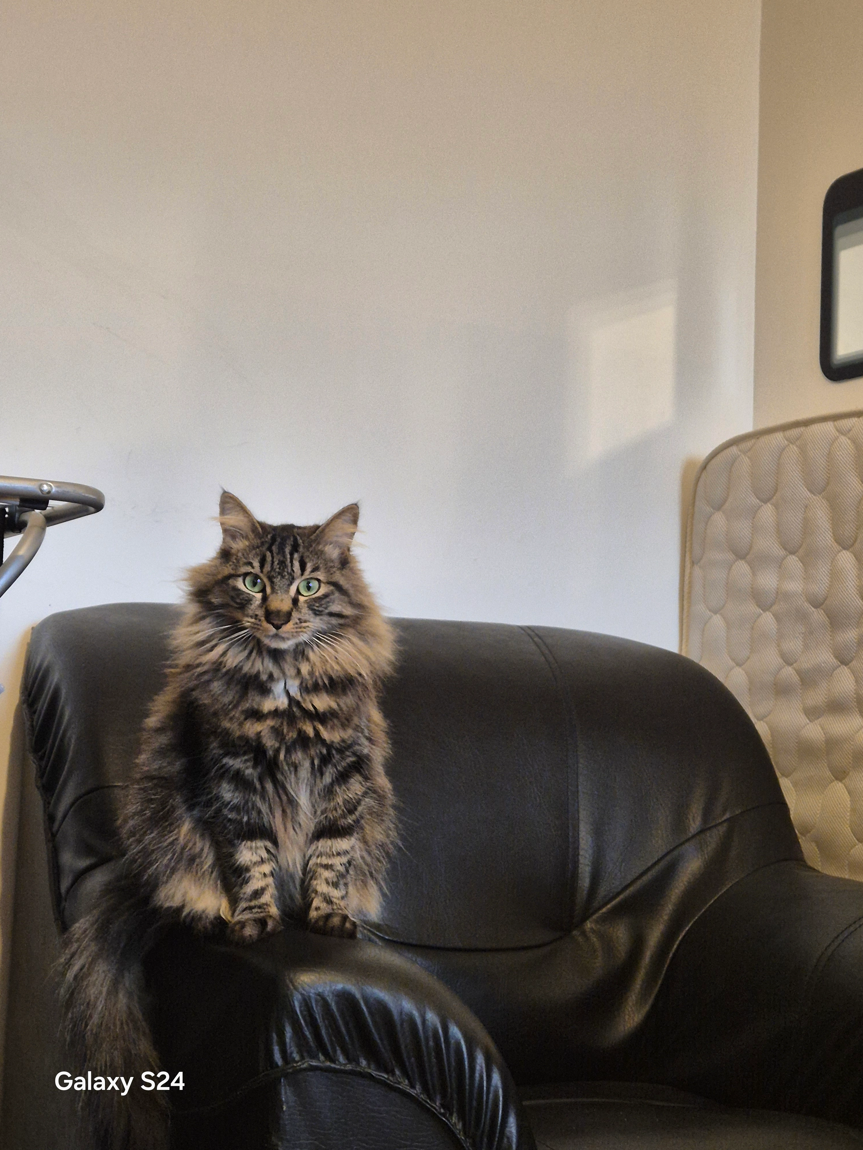 Marcus  - Place Frédéric Langlade, Balbigny