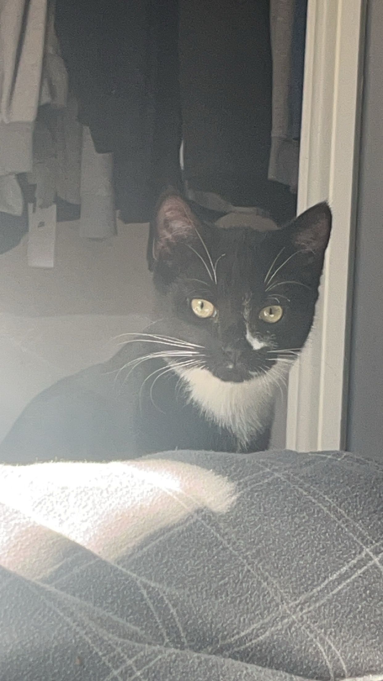 Bert - Longford Turning, Market Drayton