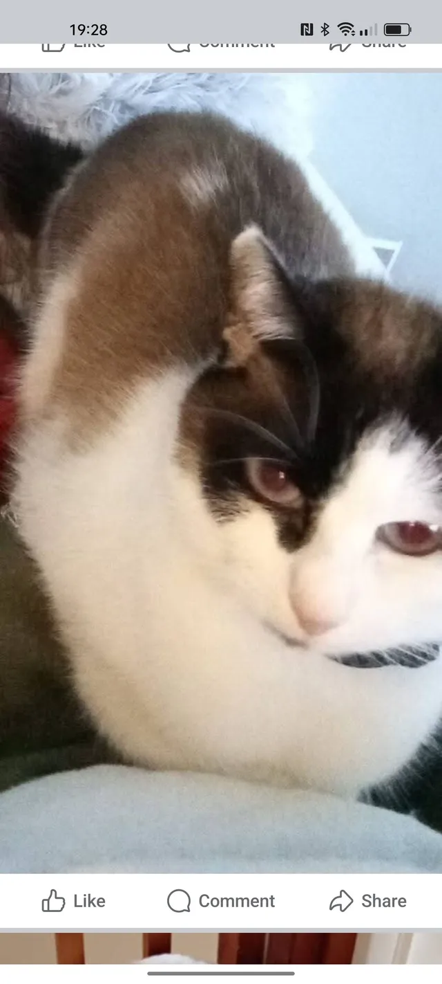 Tucker - Barlow Close, Kettering