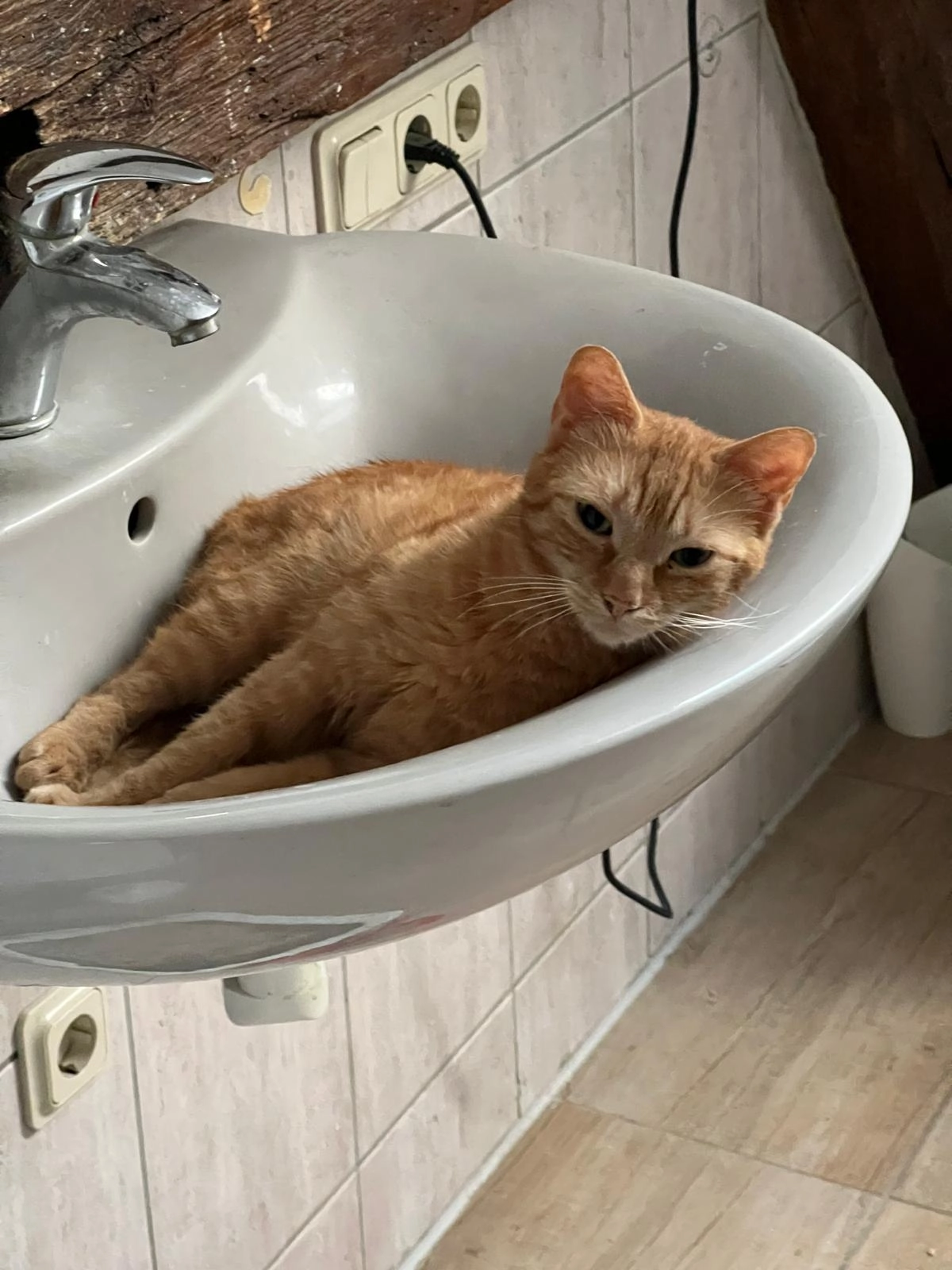 Smough - Sohlener Straße, Magdeburg