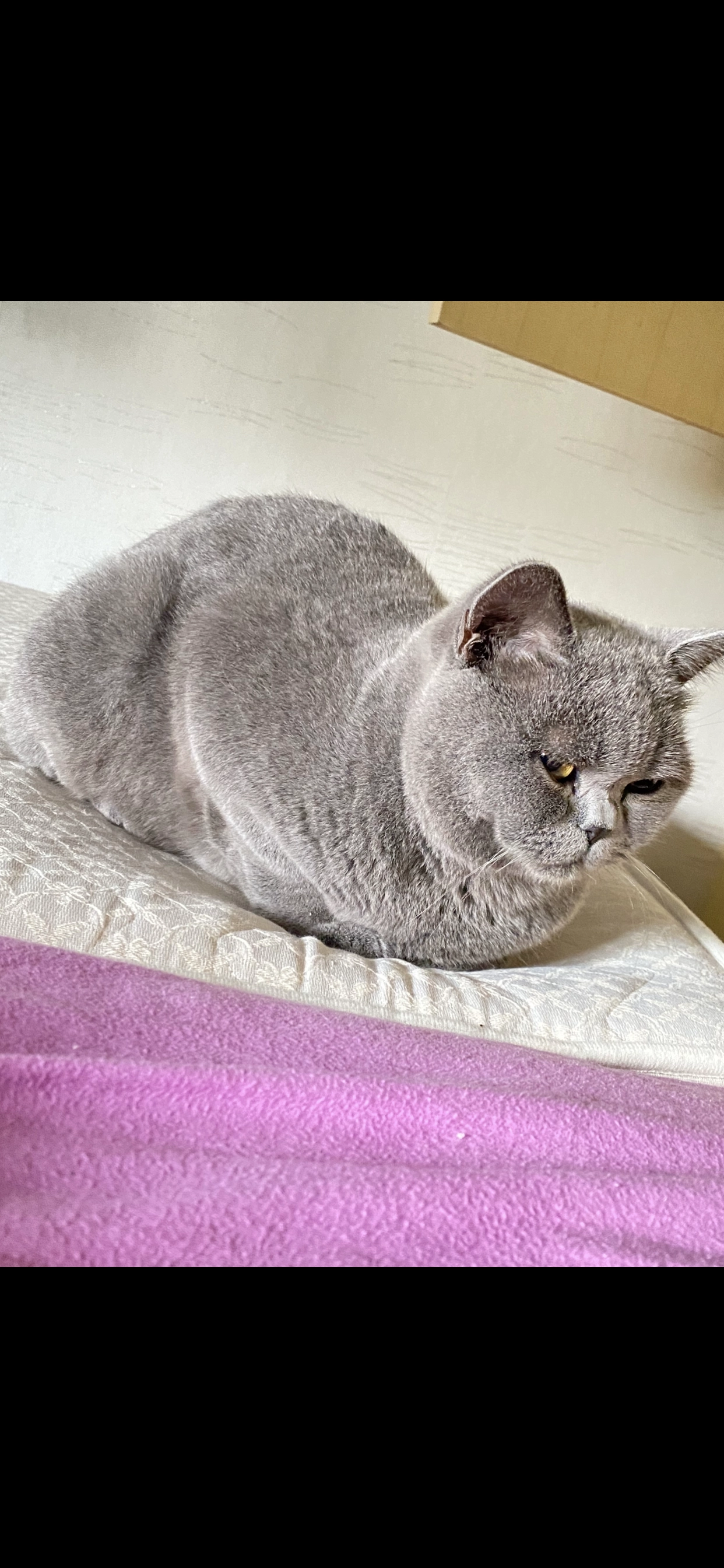 Zozo - Rosa-Luxemburg-Straße, Pößneck