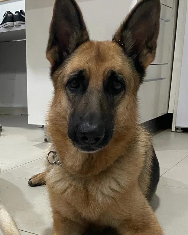 kia - Ayit, Beersheba