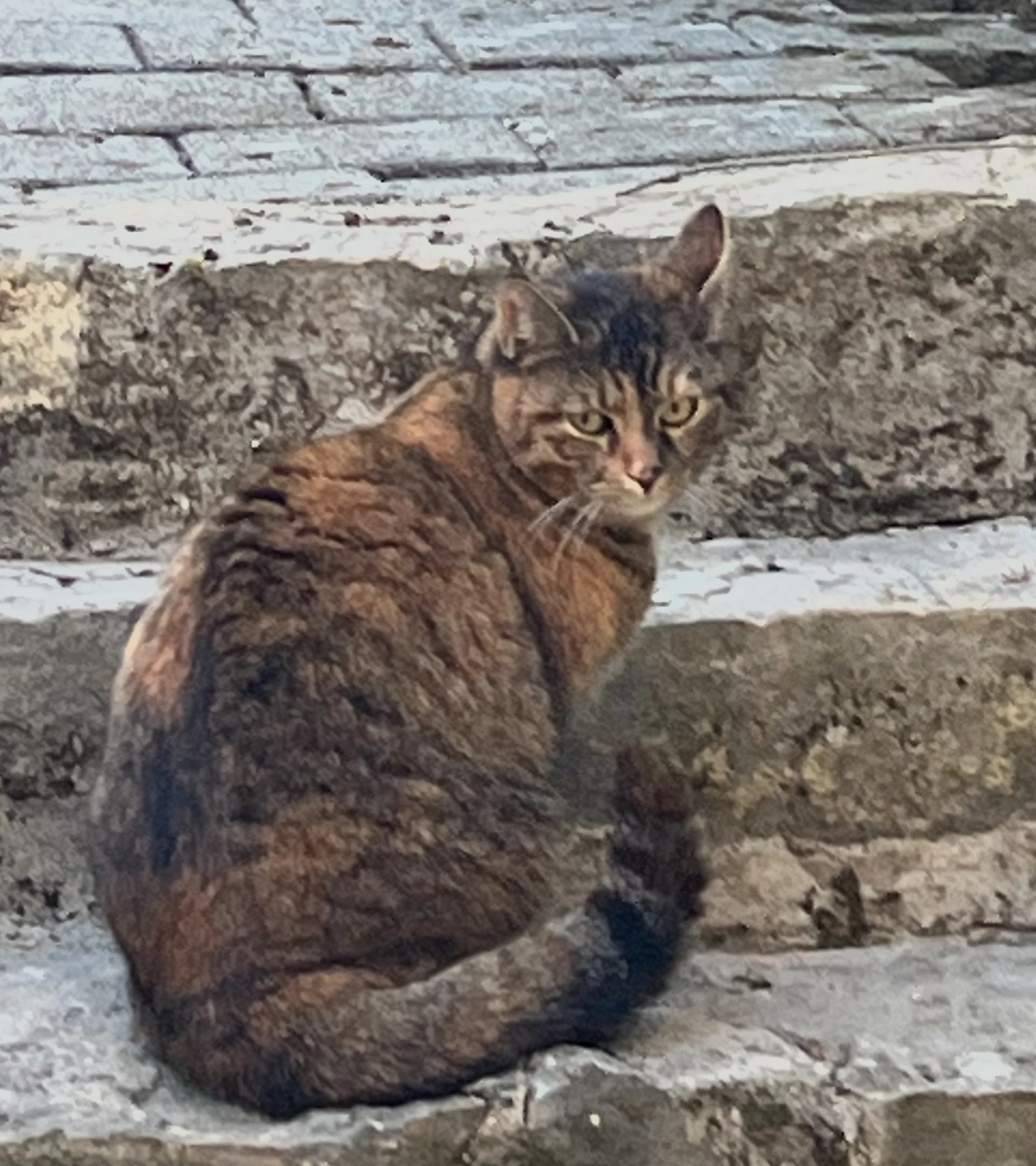 Josi - Akazienweg, Röttingen