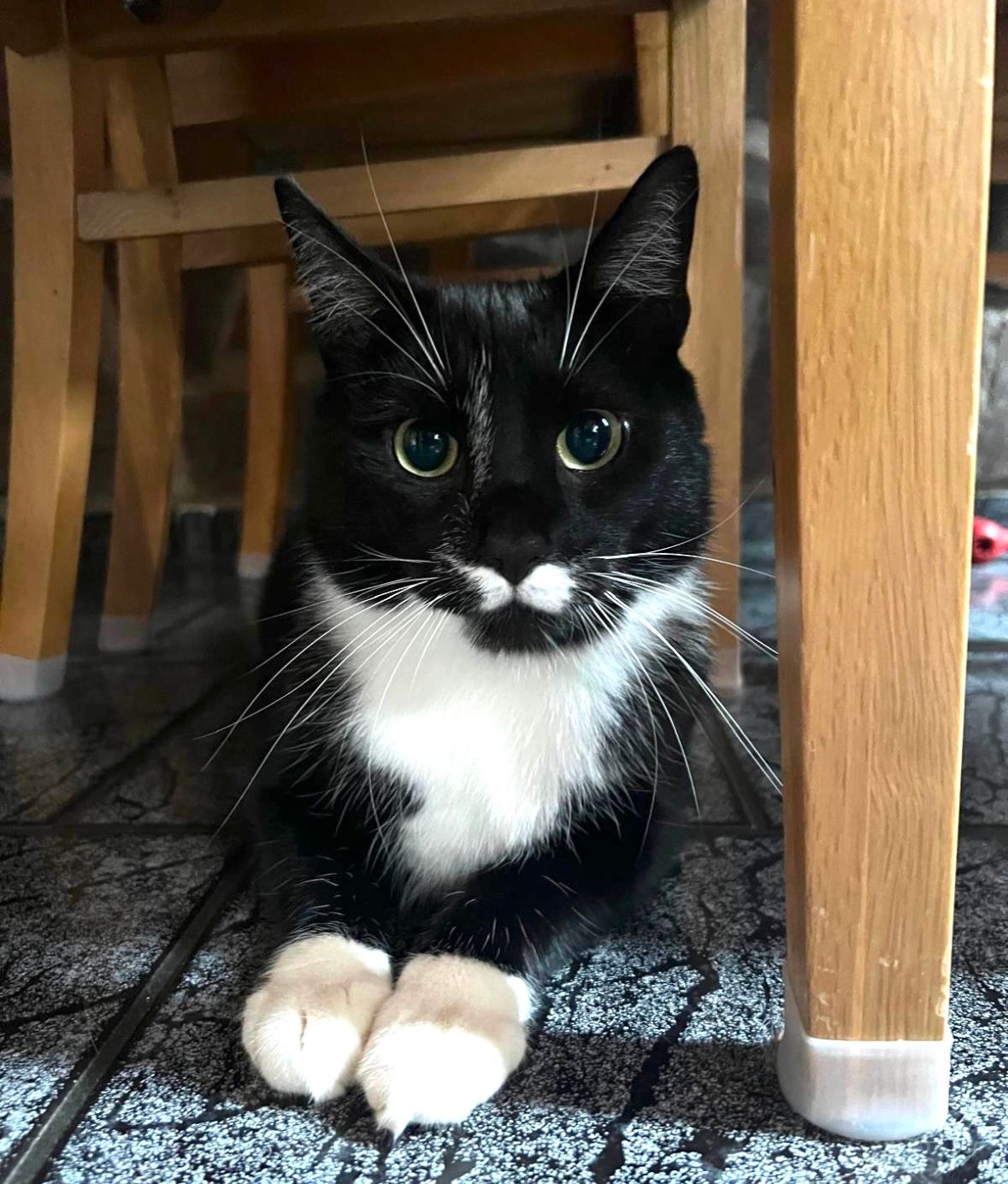 Damon - Karl-Marx-Straße, Schönebeck