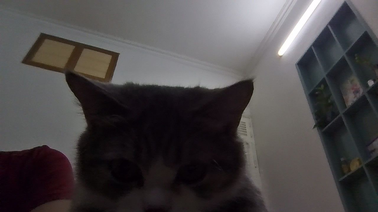 Mây - Tay Mo, Hanoi