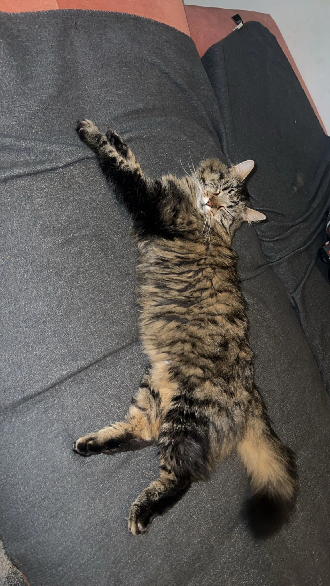 Pablo - Hermann-Sander-Straße, Bludenz