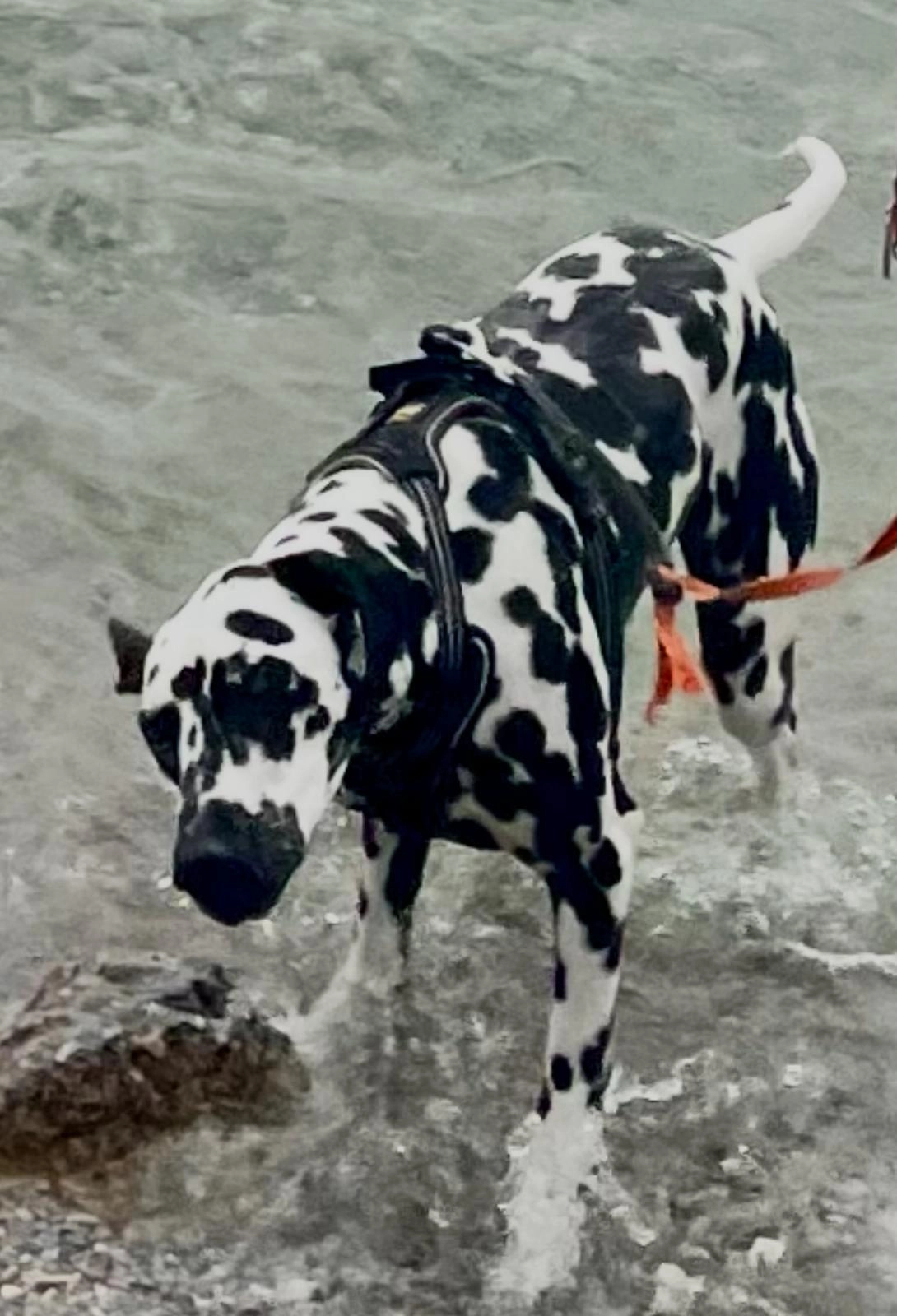 Gloria - Seestraße, Tegernsee