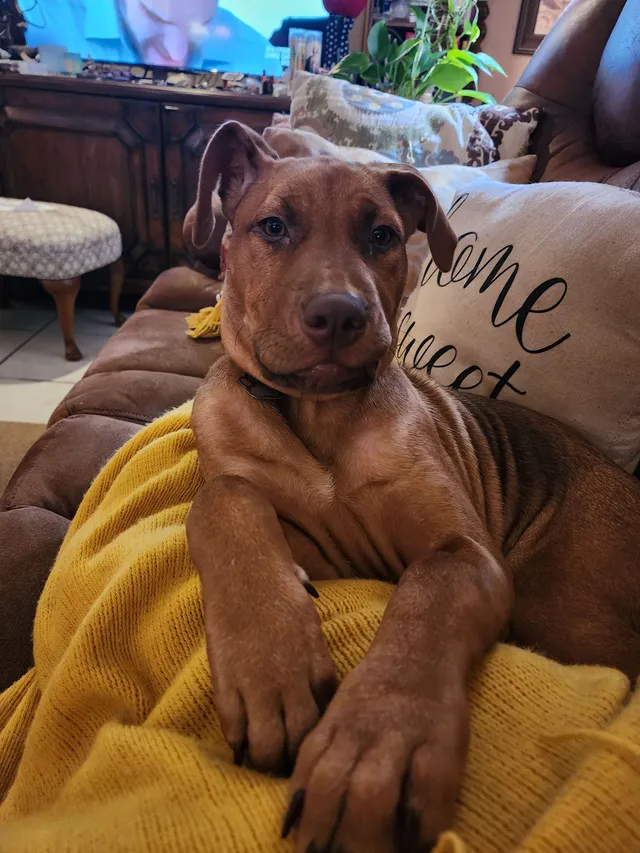 Remy - Bankers Avenue, Baton Rouge