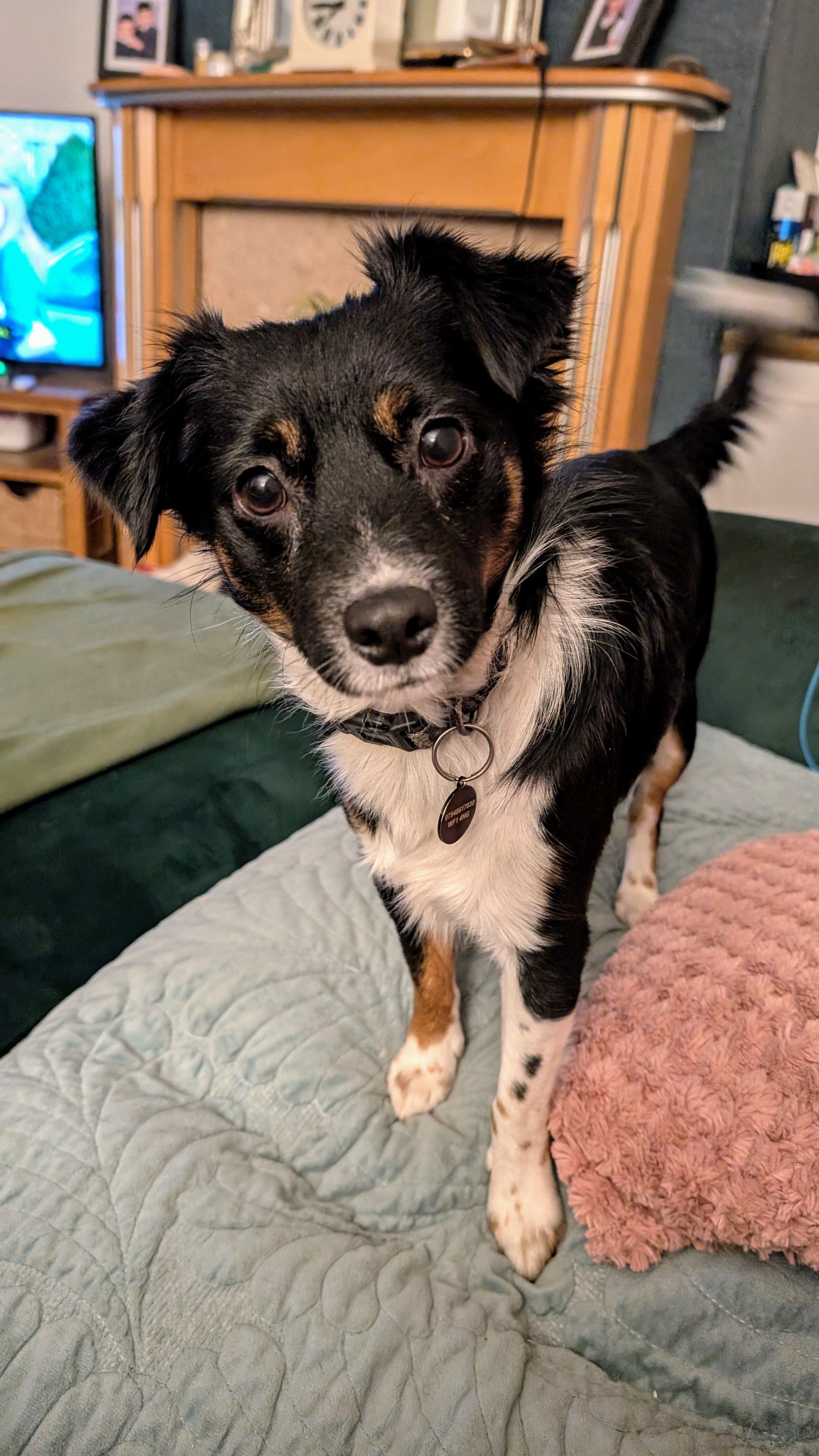 Reggie - Woodhouse Road, Wakefield