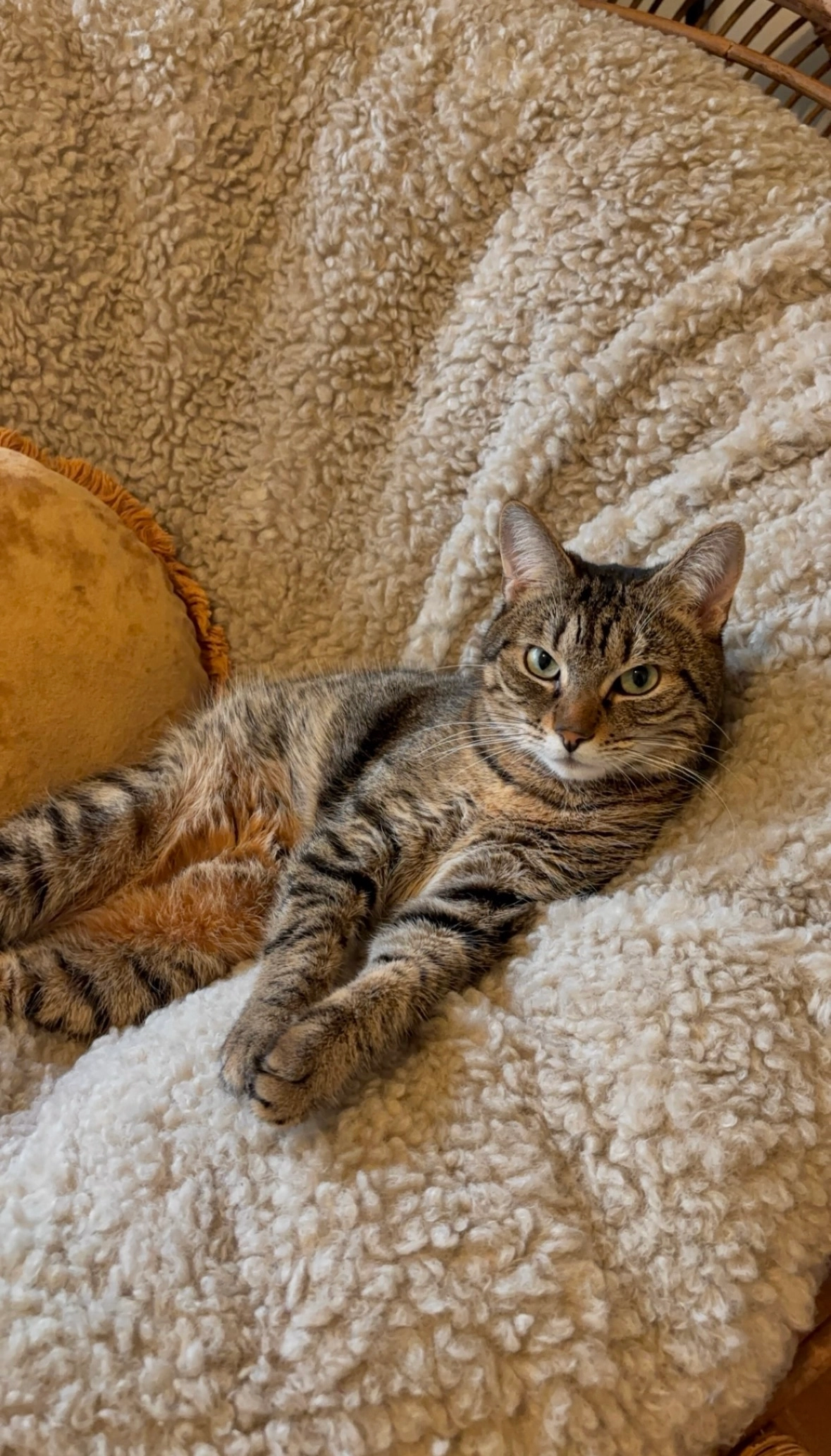 CHANEL - 3 Lotissement Le Chêne, Uchizy