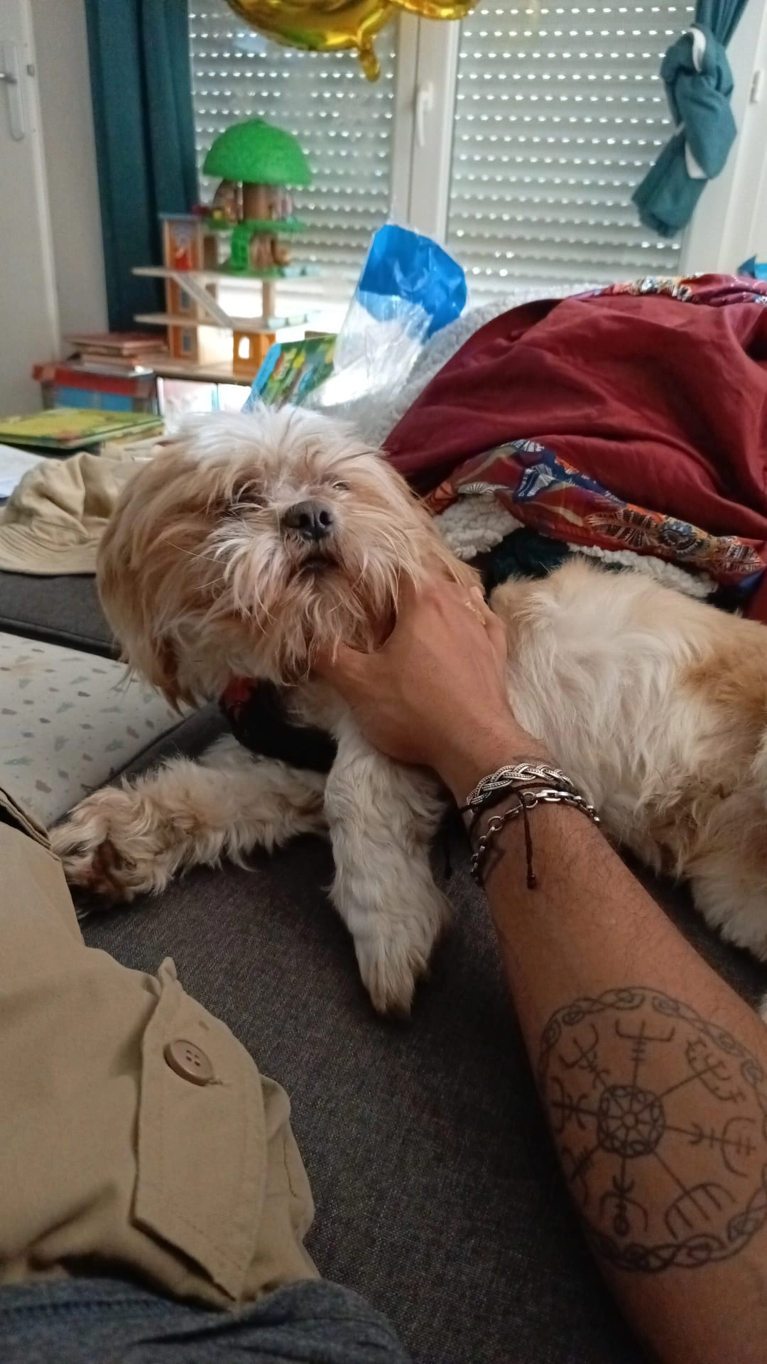 Sinbad - 854 Avenue des Fleurs, Saint-Raphaël