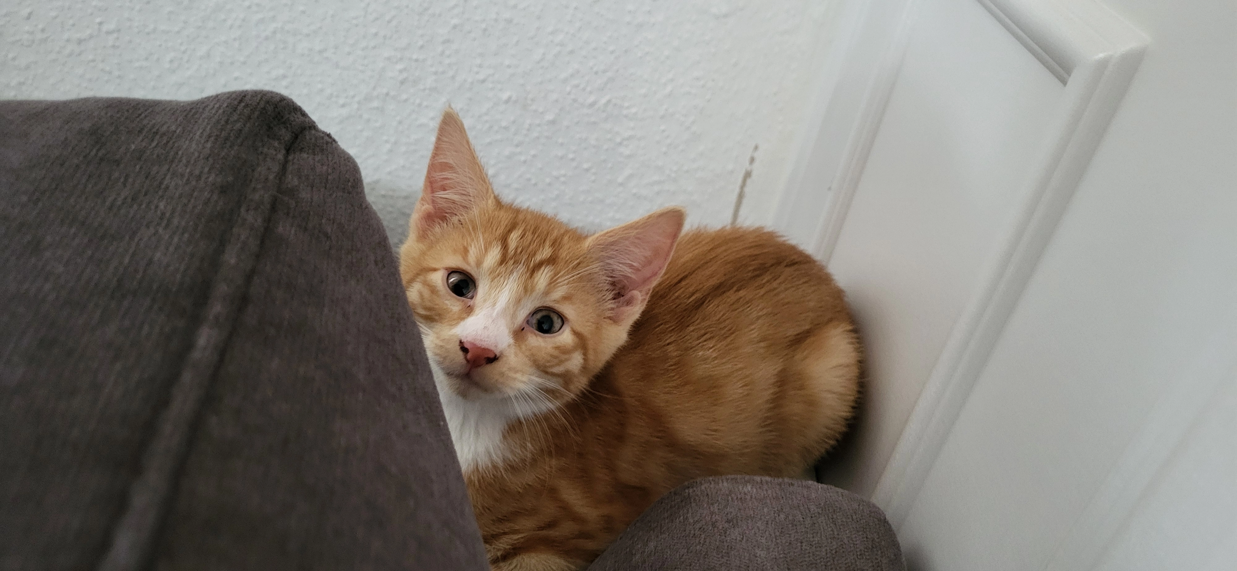 Max - Bergbreite, Wolmirstedt