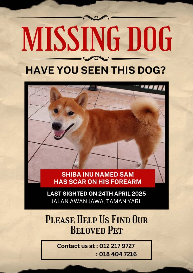 Sam - Jalan Awan Jawa, Petaling