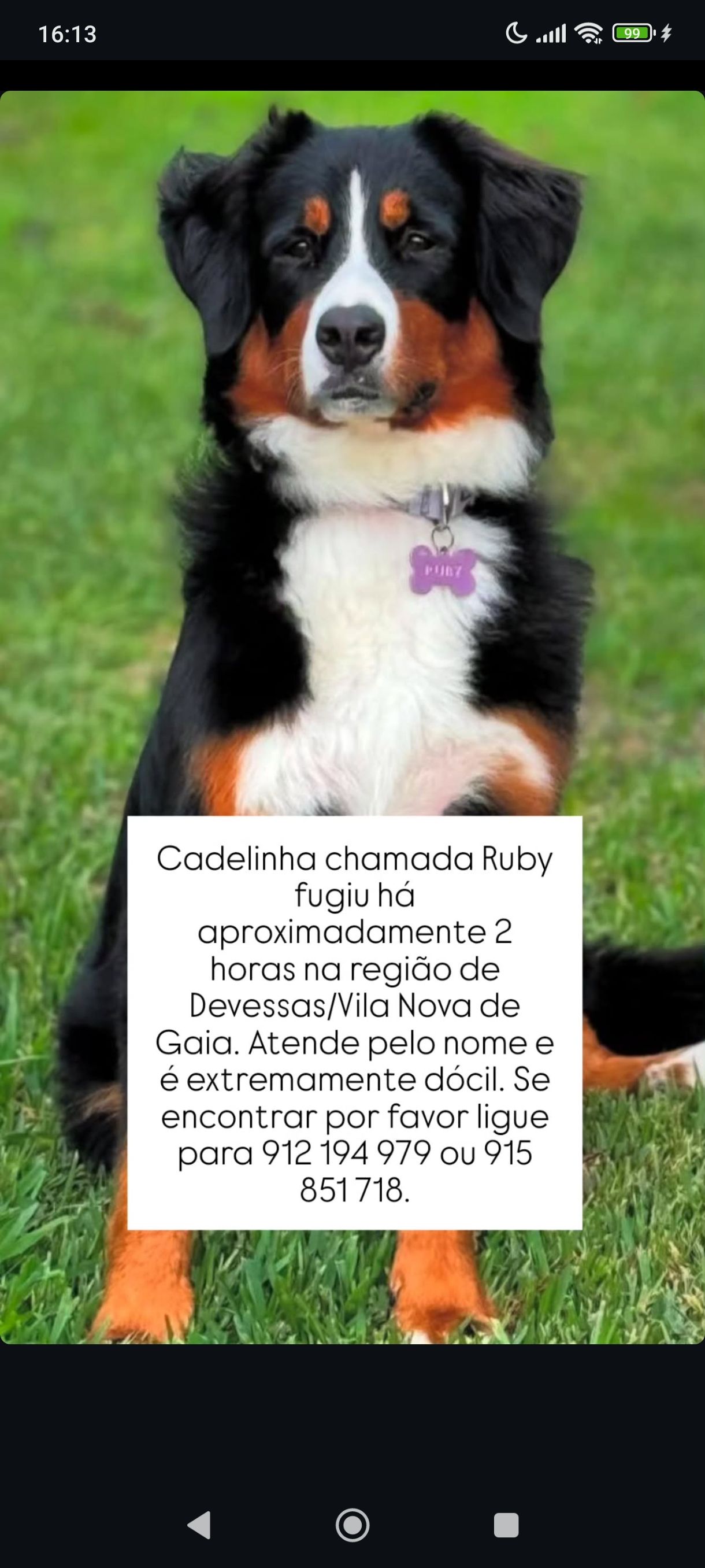 Ruby - Rua Gil Eanes, Vila Nova de Gaia