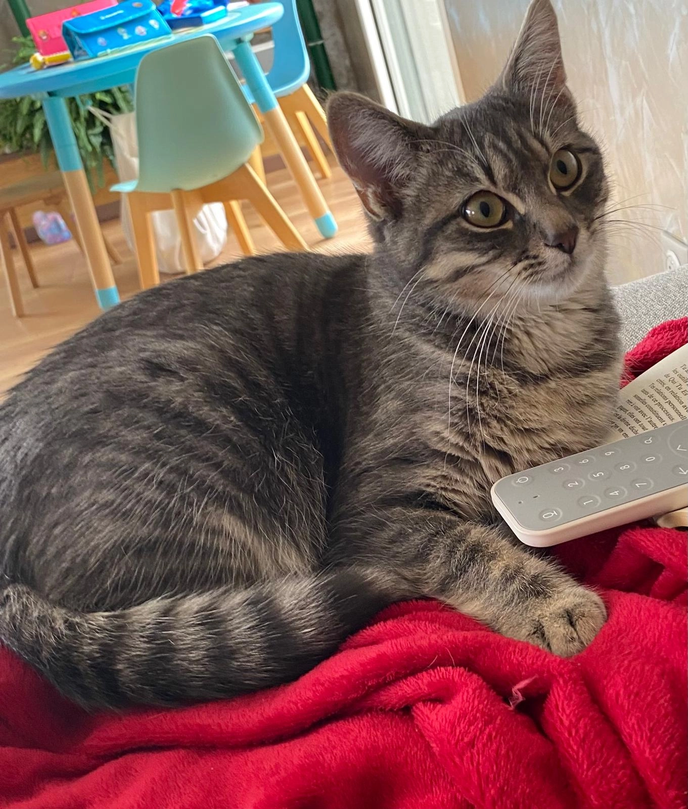 nini - Route De Lezoux, Orléat