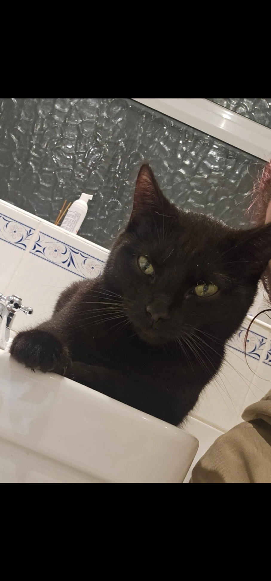 Shaddow - Silverdale Way, Newcastle Upon Tyne