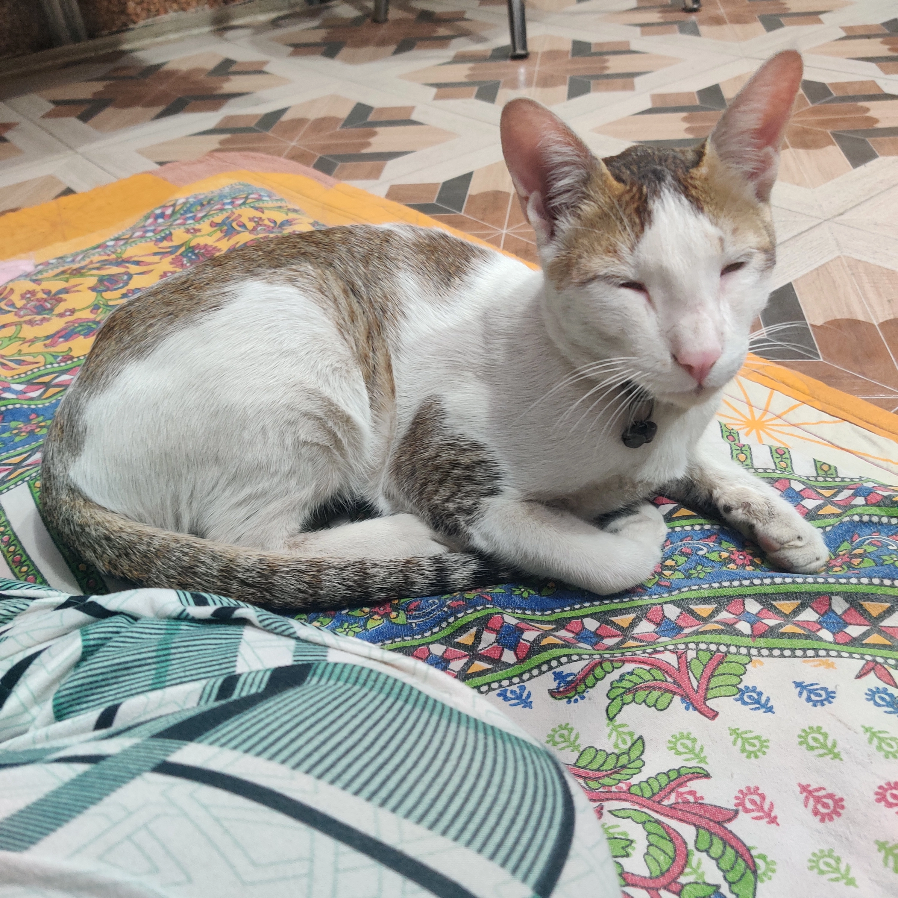 Chiku - 232101, Pandit Deen Dayal Upadhyaya Nagar