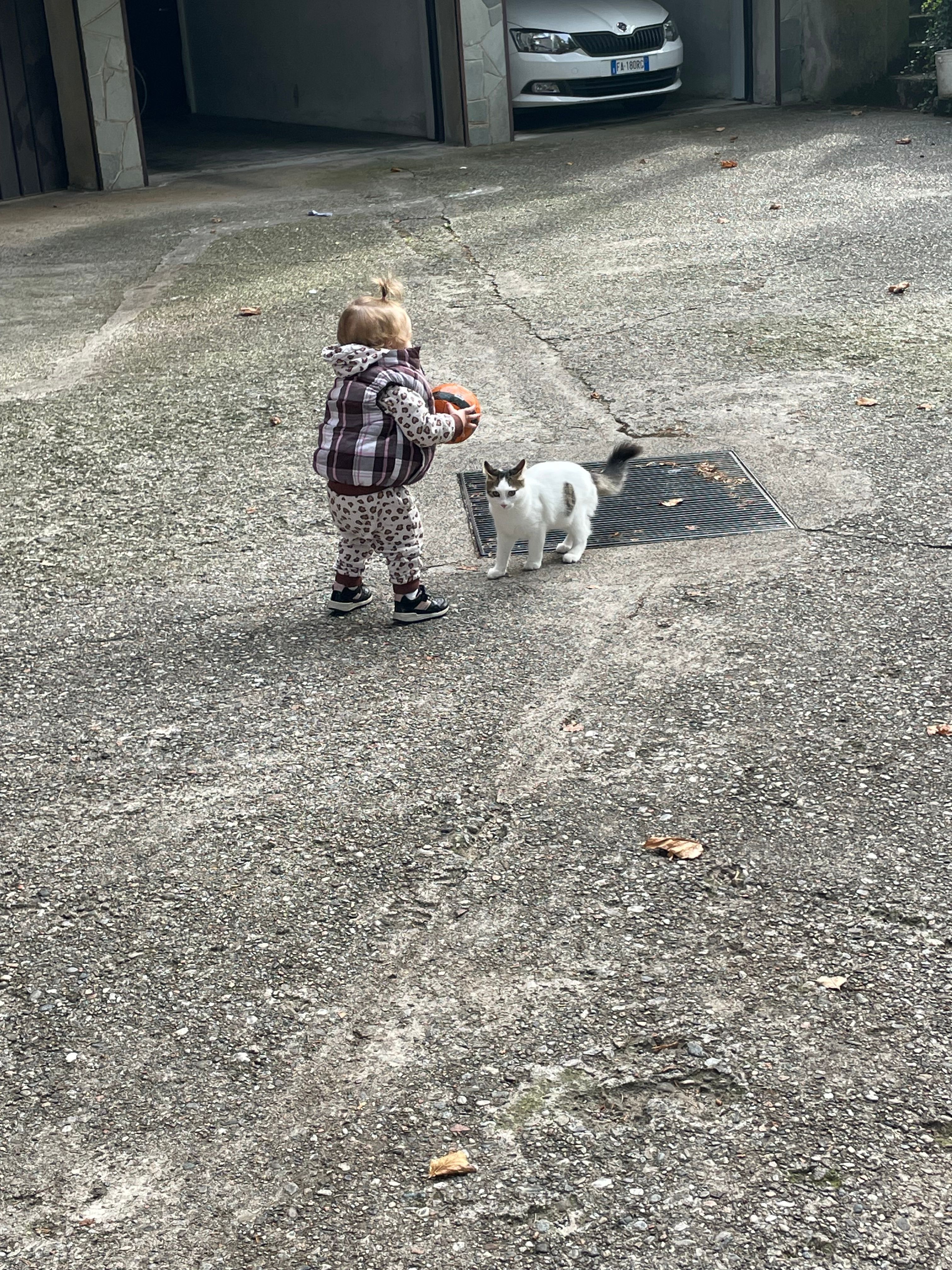 Puter - Via Moncenisio, Venegono Superiore