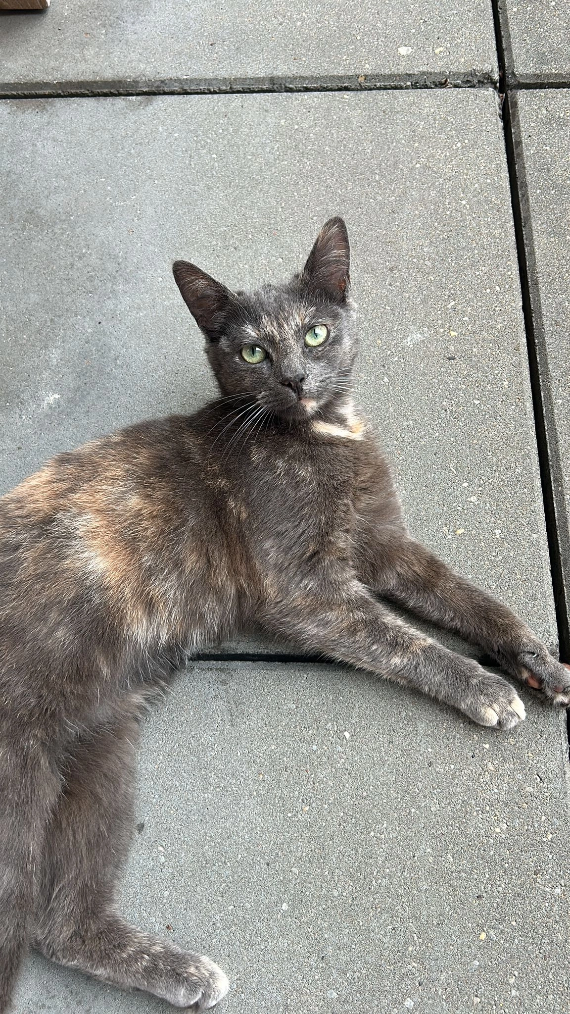 pookie - Raadhuisplein, Barneveld