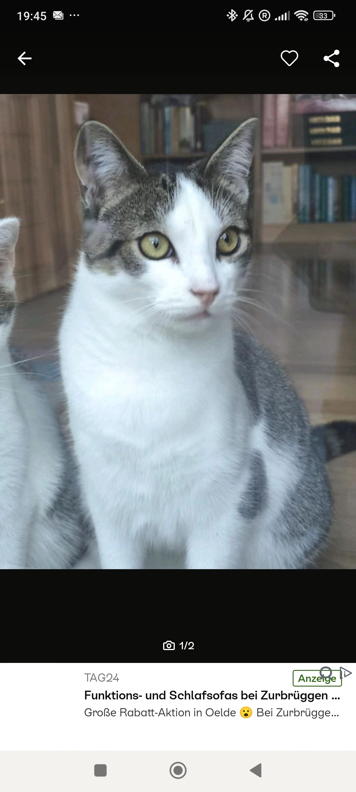 Mimo - Bökenförder Straße, Lippstadt