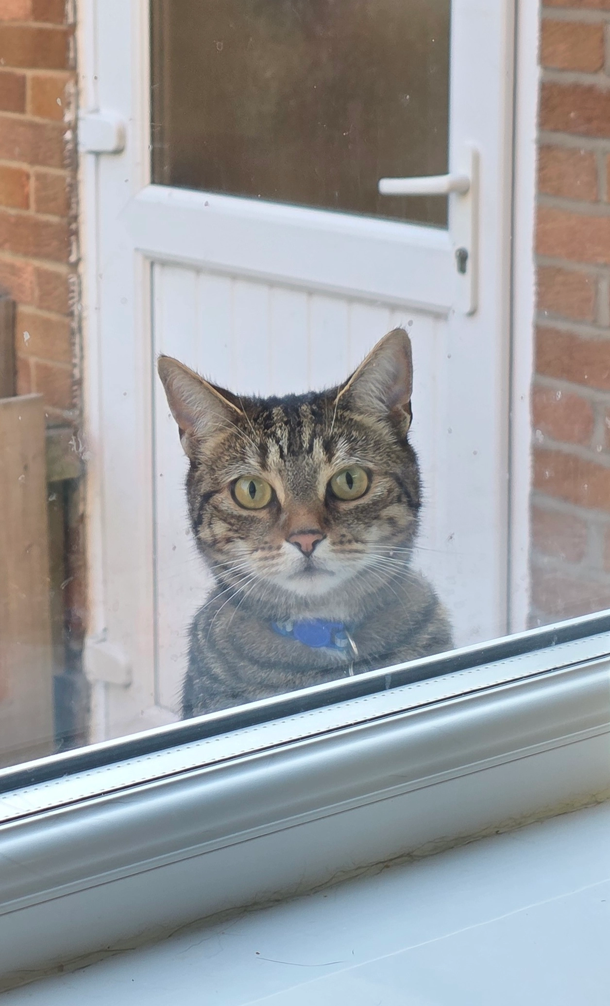 Diego - Bannockburn, Newcastle upon Tyne