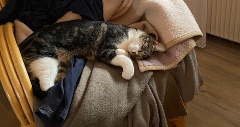 Hugo  - Kolpingstraße, Harsewinkel