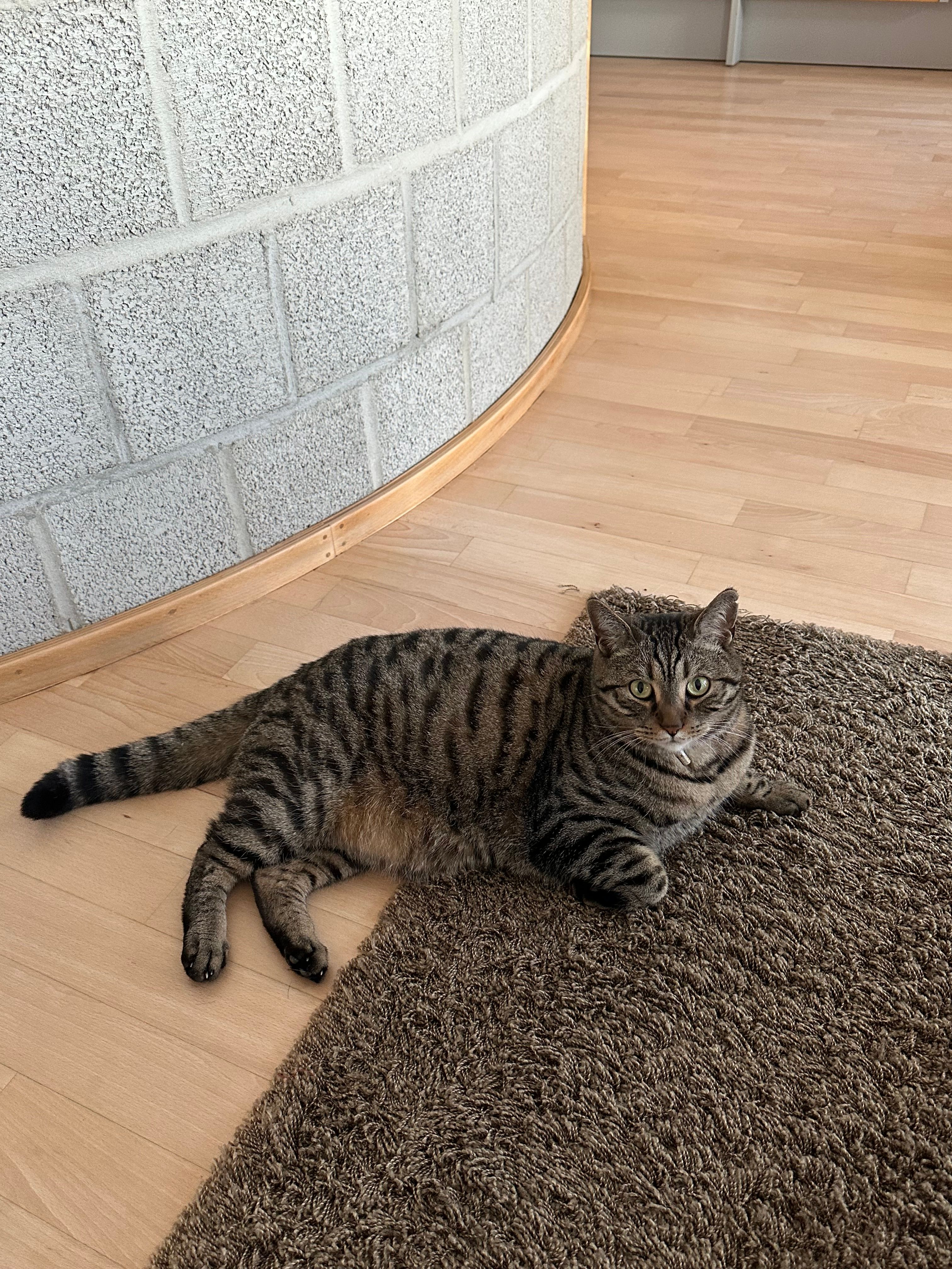 Elio - Crevennastraße, Würzburg