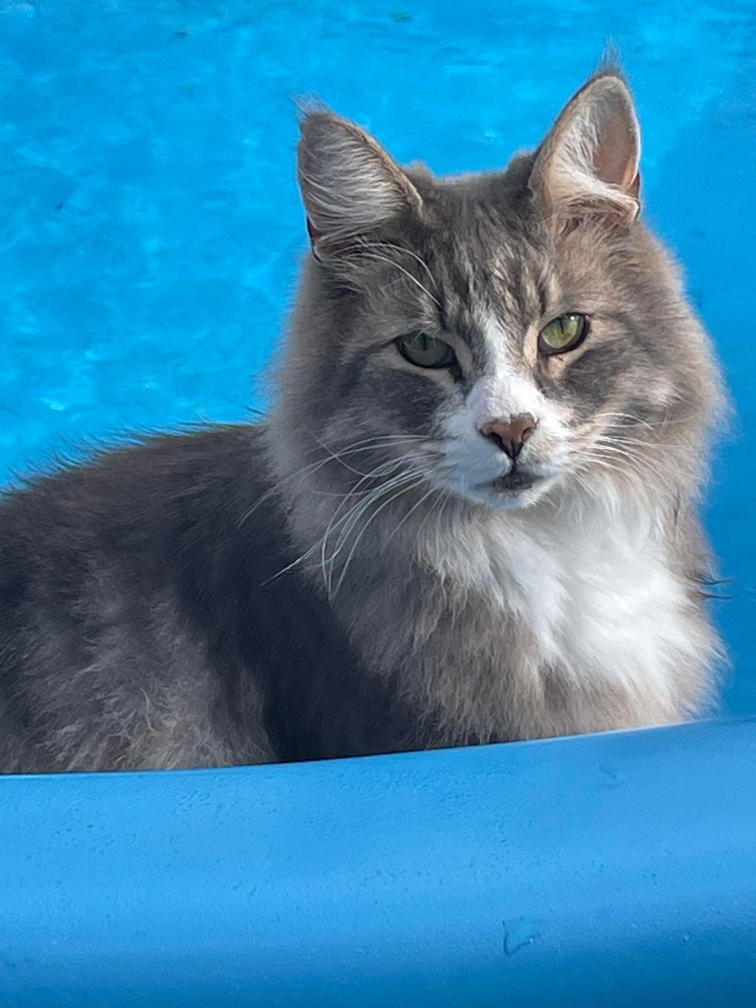 Leo - Warburger Straße, Warburg