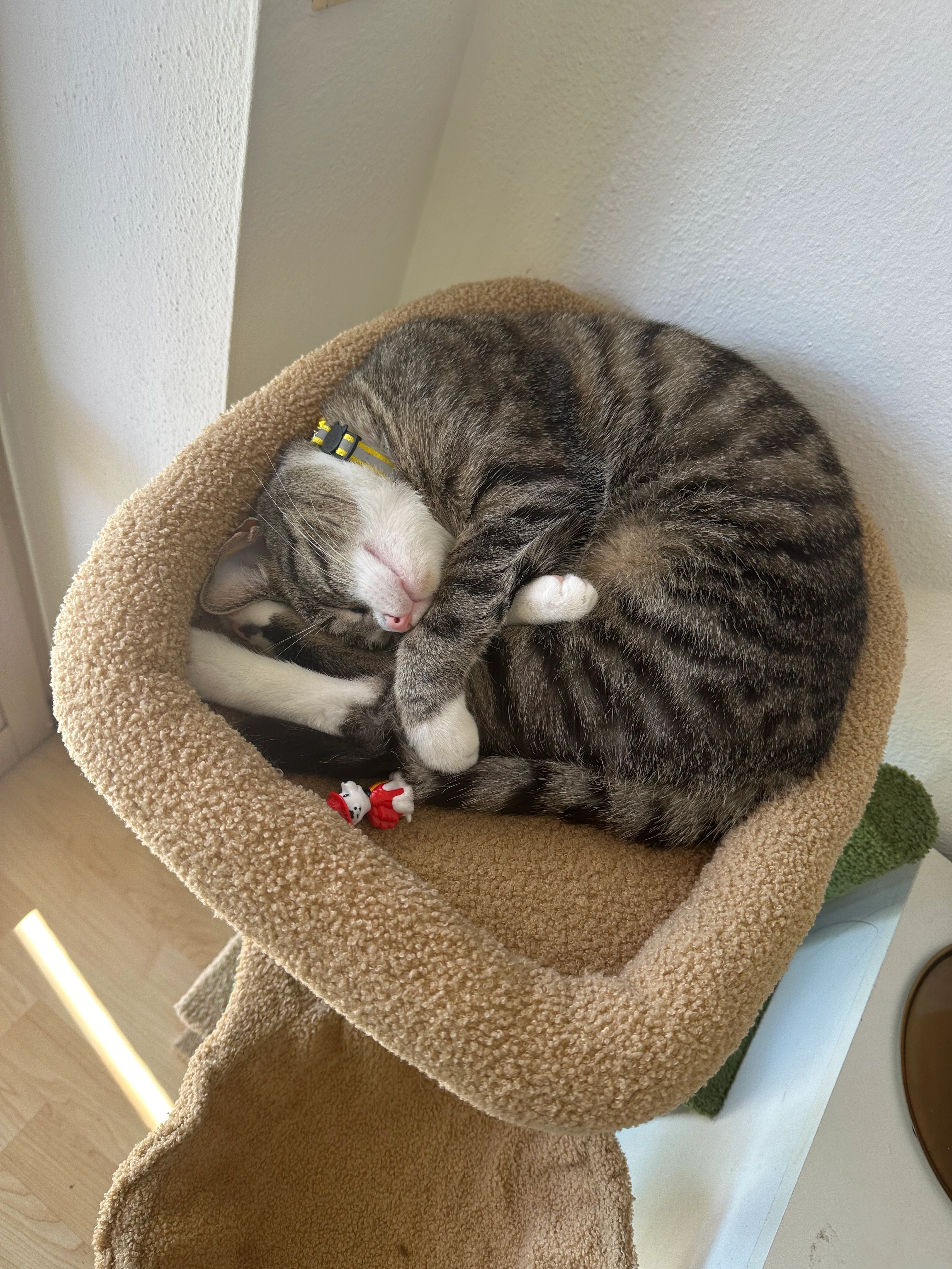 Pascha - Jakobiweg, Aichach